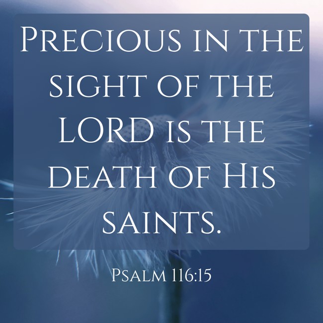  Precious in the sight of the LORD is the death of His saints.   - Psalm 116:15 
