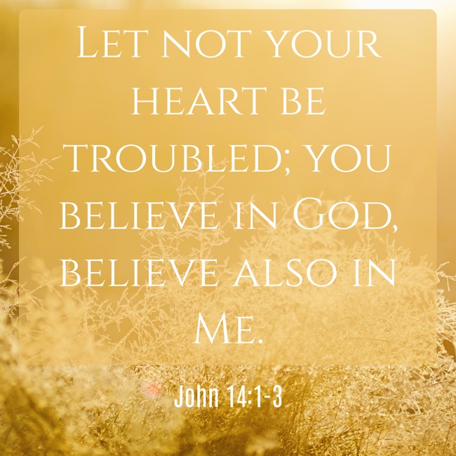  Let not your heart be troubled; you believe in God, believe also in Me.   - John 14:1-3 
