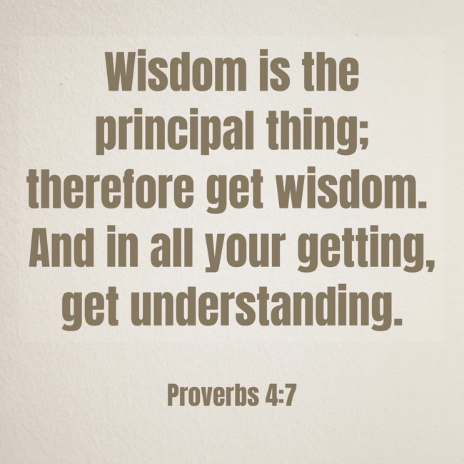 Wisdom is the principal thing; therefore get wisdom. And in all your getting, get understanding. - Proverbs 4:7