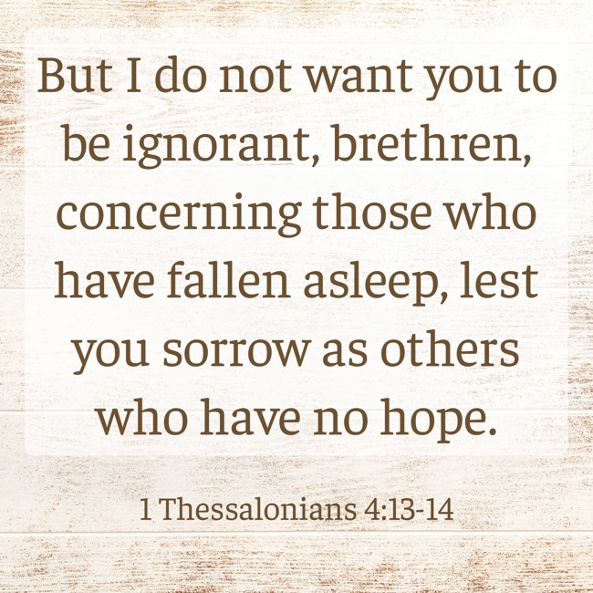  But I do not want you to be ignorant, brethren, concerning those who have fallen asleep, lest you sorrow as others who have no hope.   - 1 Thessalonians 4:13-14 