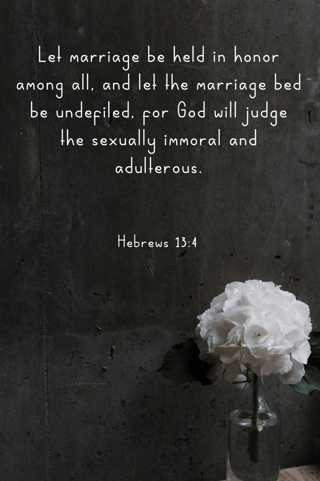 Let marriage be held in honor among all, and let the marriage bed be undefiled, for God will judge the sexually immoral and adulterous. - Hebrews 13:4