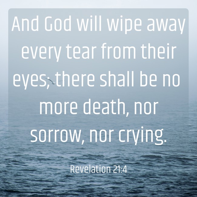  And God will wipe away every tear from their eyes; there shall be no more death, nor sorrow, nor crying.   - Revelation 21:4 
