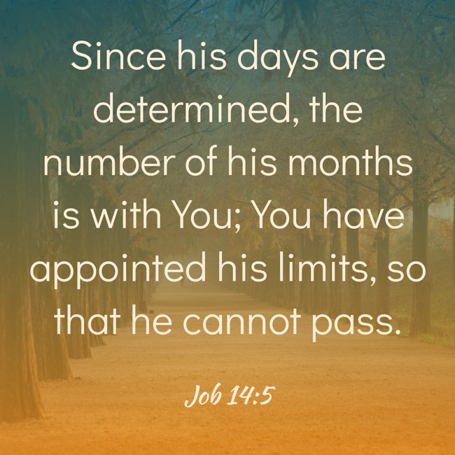 Since his days are determined, the number of his months is with You; You have appointed his limits, so that he cannot pass. - Job 14:5