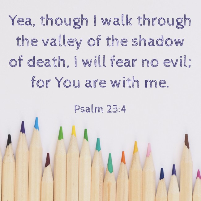  Yea, though I walk through the valley of the shadow of death, I will fear no evil; for You are with me.   - Psalm 23:4 