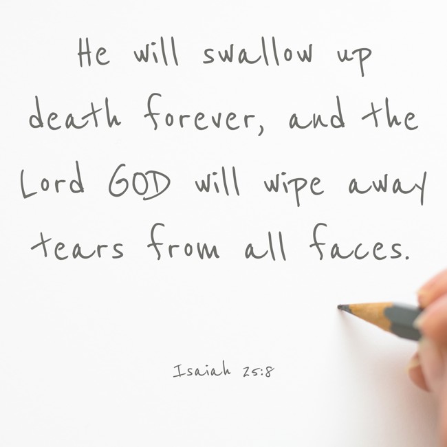  He will swallow up death forever, and the Lord GOD will wipe away tears from all faces.   - Isaiah 25:8 
