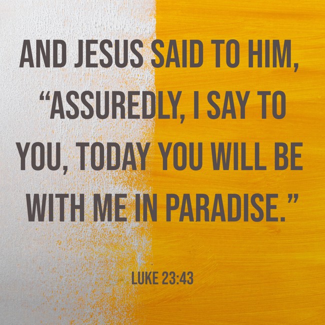  And Jesus said to him, “Assuredly, I say to you, today you will be with Me in Paradise.”   - Luke 23:43 