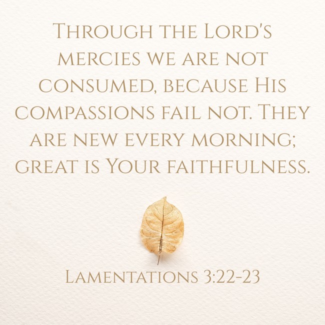  Through the Lord's mercies we are not consumed, because His compassions fail not. They are new every morning; great is Your faithfulness.   - Lamentations 3:22-23 