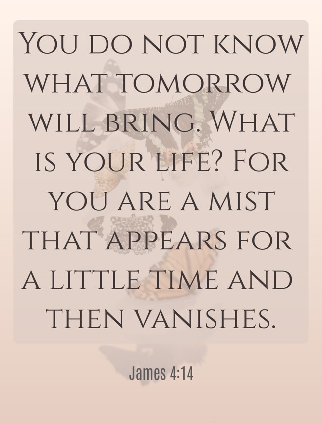  You do not know what tomorrow will bring. What is your life? For you are a mist that appears for a little time and then vanishes.   - James 4:14 