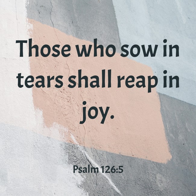 Those who sow in tears shall reap in joy. - Psalm 126:5