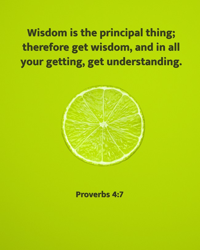 Wisdom is the principal thing; therefore get wisdom, and in all your getting, get understanding. - Proverbs 4:7