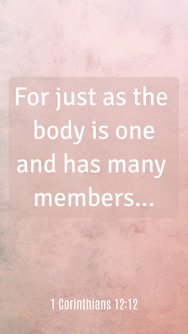For just as the body is one and has many members… - 1 Corinthians 12:12