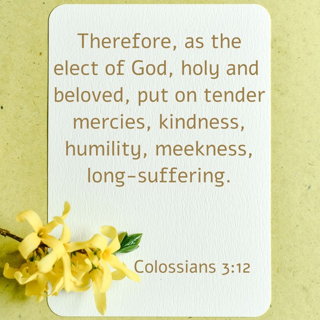 Therefore, as the elect of God, holy and beloved, put on tender mercies, kindness, humility, meekness, long-suffering. - Colossians 3:12