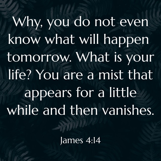 Why, you do not even know what will happen tomorrow. What is your life? You are a mist that appears for a little while and then vanishes. - James 4:14