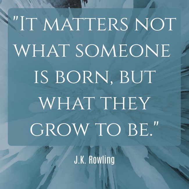 It matters not what someone is born, but what they grow to be. - J.K. Rowling
