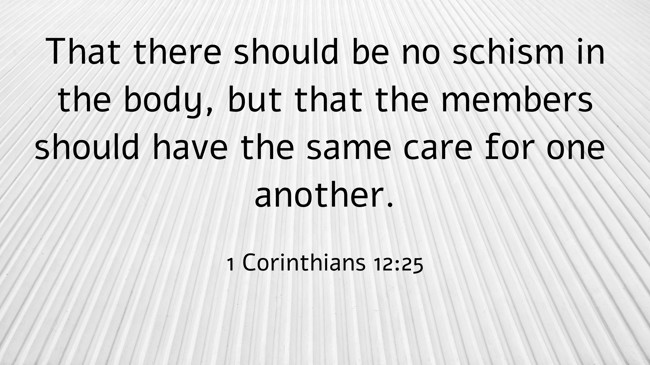 That there should be no schism in the body, but that the members should have the same care for one another. - 1 Corinthians 12:25