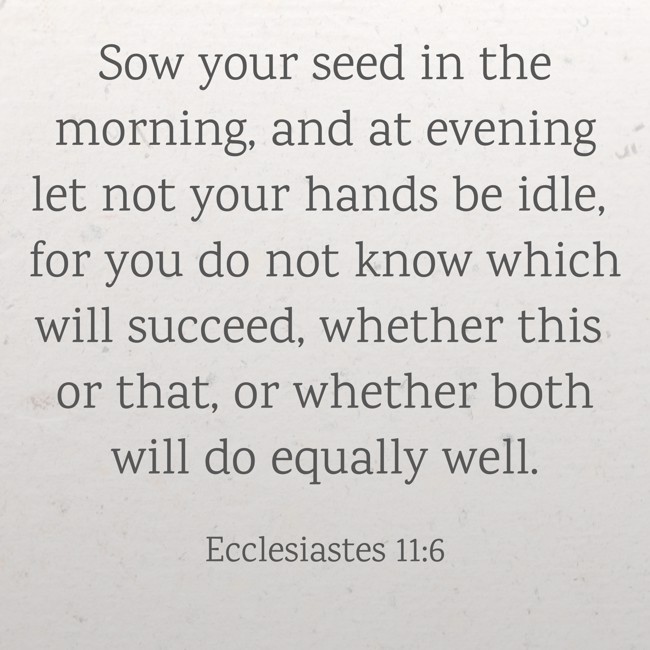 Sow your seed in the morning, and at evening let not your hands be idle, for you do not know which will succeed, whether this or that, or whether both will do equally well. - Ecclesiastes 11:6