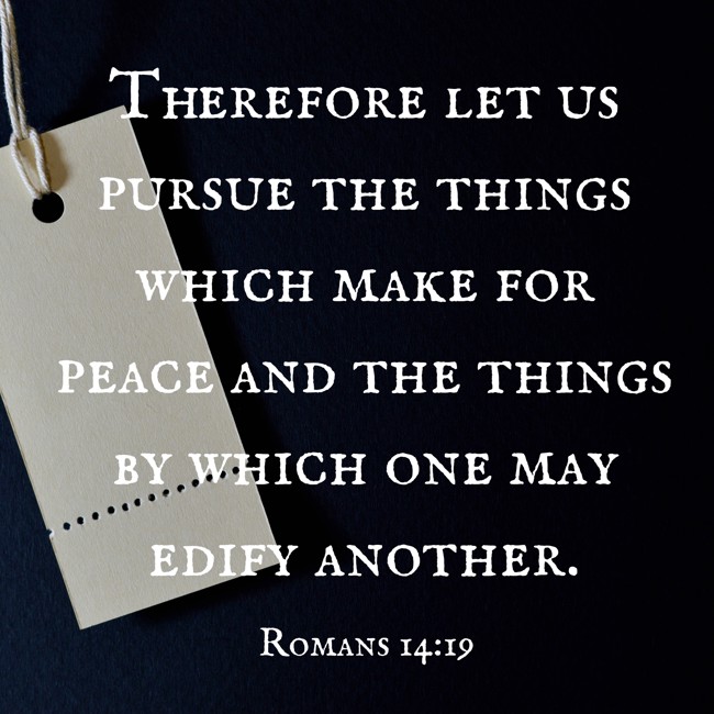 Therefore let us pursue the things which make for peace and the things by which one may edify another. - Romans 14:19