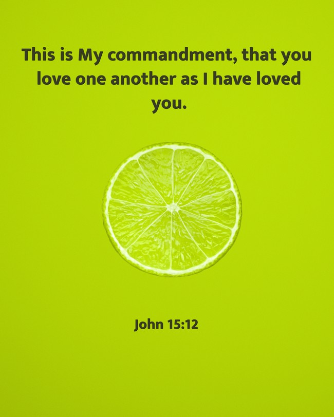 This is My commandment, that you love one another as I have loved you. - John 15:12