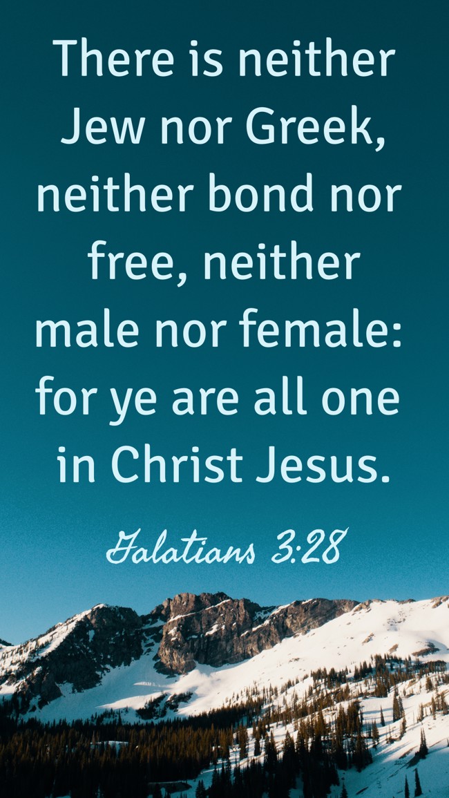  There is neither Jew nor Greek, neither bond nor free, neither male nor female: for ye are all one in Christ Jesus.   - Galatians 3:28 