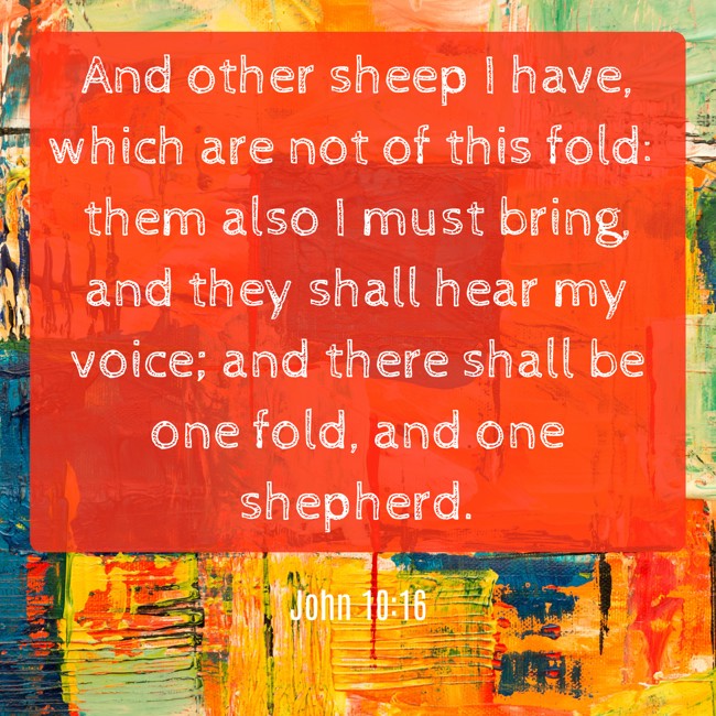  And other sheep I have, which are not of this fold: them also I must bring, and they shall hear my voice; and there shall be one fold, and one shepherd.   - John 10:16 