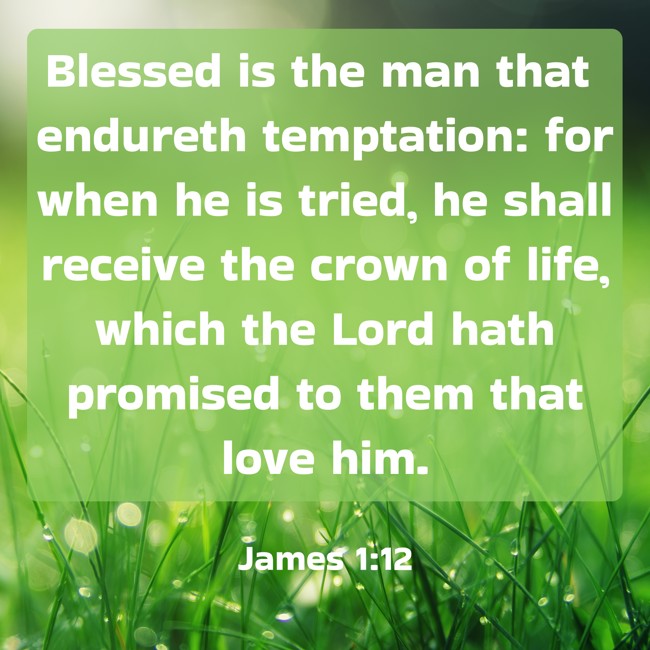  Blessed is the man that endureth temptation: for when he is tried, he shall receive the crown of life, which the Lord hath promised to them that love him.   - James 1:12 