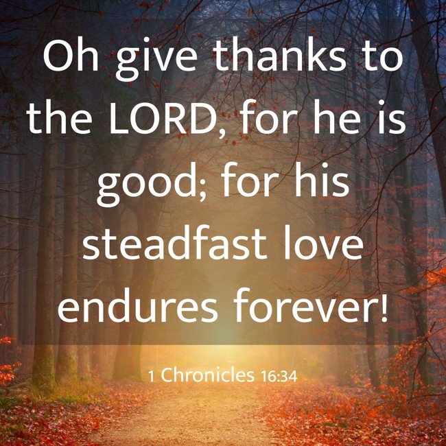 Oh give thanks to the LORD, for he is good; for his steadfast love endures forever! - 1 Chronicles 16:34