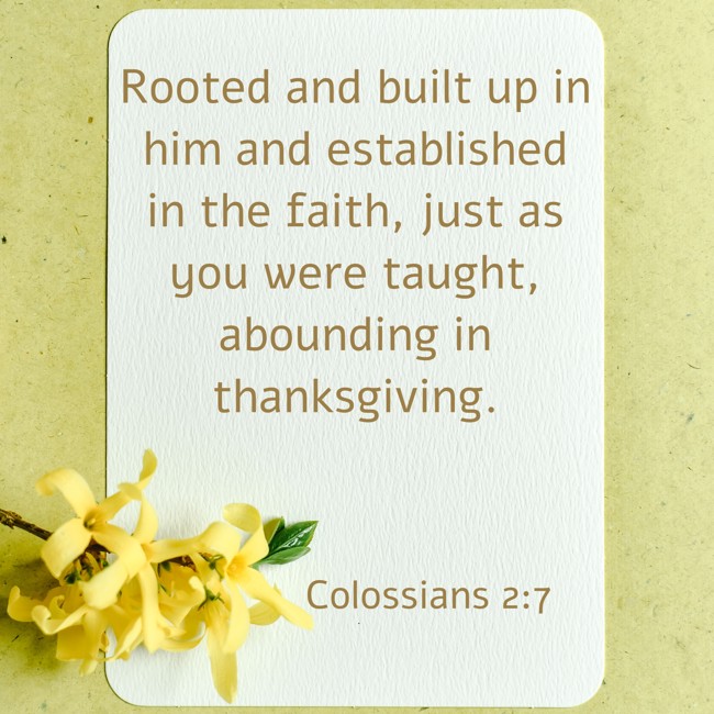 Rooted and built up in him and established in the faith, just as you were taught, abounding in thanksgiving. - Colossians 2:7