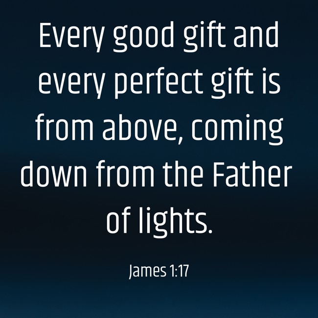 Every good gift and every perfect gift is from above, coming down from the Father of lights. - James 1:17