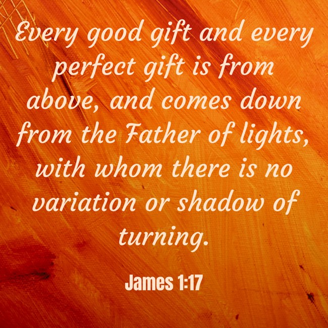 Every good gift and every perfect gift is from above, and comes down from the Father of lights, with whom there is no variation or shadow of turning. - James 1:17
