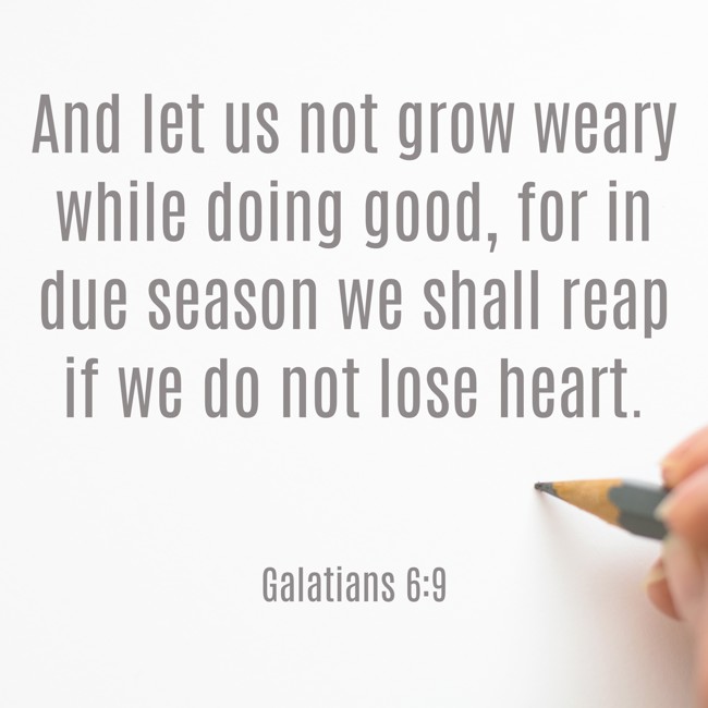 And let us not grow weary while doing good, for in due season we shall reap if we do not lose heart. - Galatians 6:9