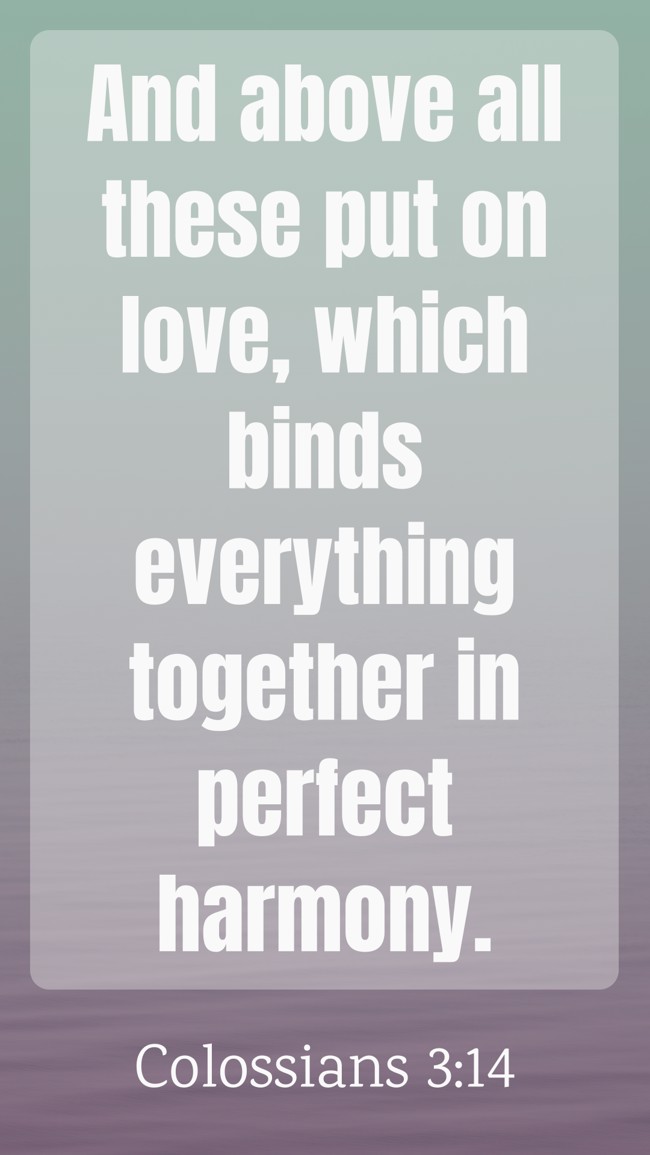 And above all these put on love, which binds everything together in perfect harmony. - Colossians 3:14