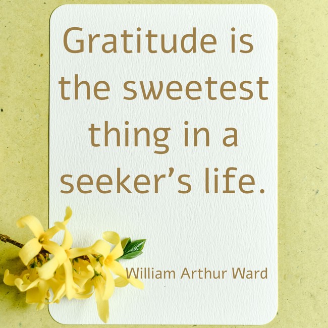 Gratitude is the sweetest thing in a seeker's life.
- William Arthur Ward