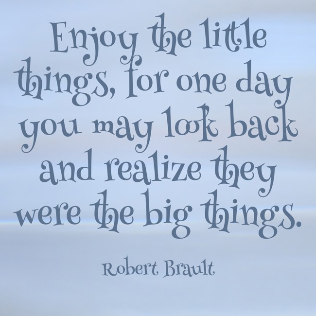 Enjoy the little things, for one day you may look back and realize they were the big things. - Robert Brault