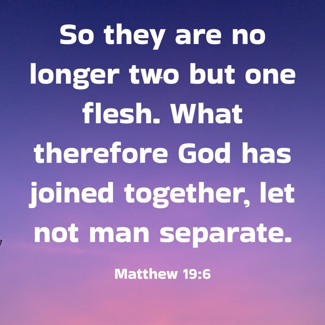So they are no longer two but one flesh. What therefore God has joined together, let not man separate. - Matthew 19:6