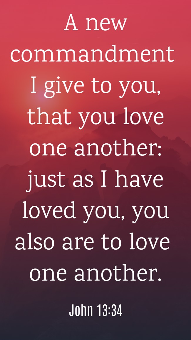 A new commandment I give to you, that you love one another: just as I have loved you, you also are to love one another. - John 13:34