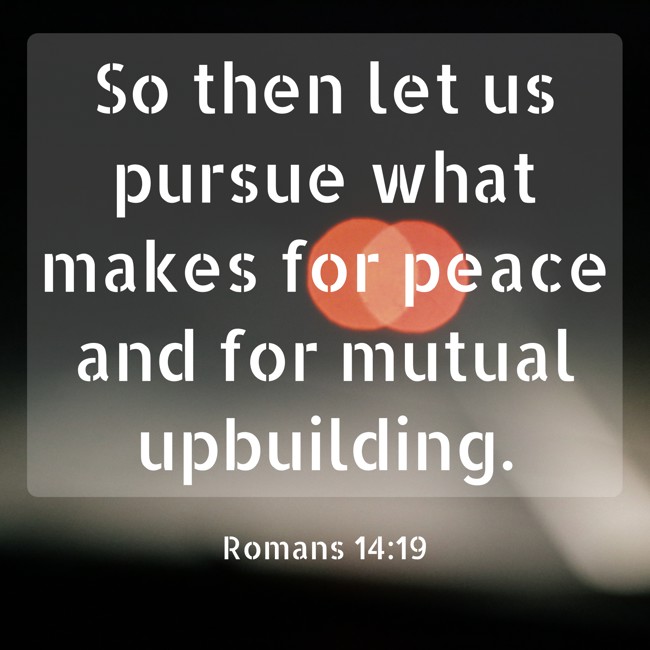 So then let us pursue what makes for peace and for mutual upbuilding. - Romans 14:19
