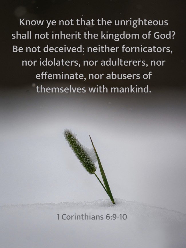 Know ye not that the unrighteous shall not inherit the kingdom of God? Be not deceived: neither fornicators, nor idolaters, nor adulterers, nor effeminate, nor abusers of themselves with mankind. - 1 Corinthians 6:9-10