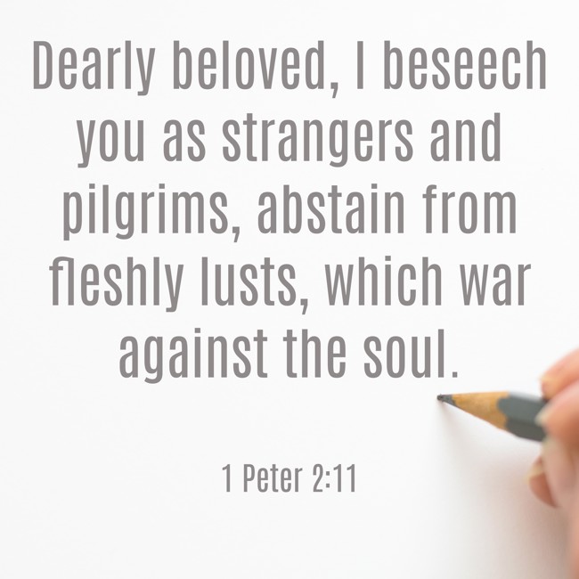 Dearly beloved, I beseech you as strangers and pilgrims, abstain from fleshly lusts, which war against the soul. - 1 Peter 2:11