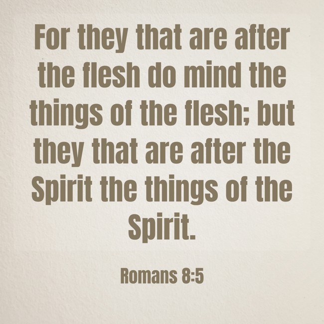 For they that are after the flesh do mind the things of the flesh; but they that are after the Spirit the things of the Spirit. - Romans 8:5