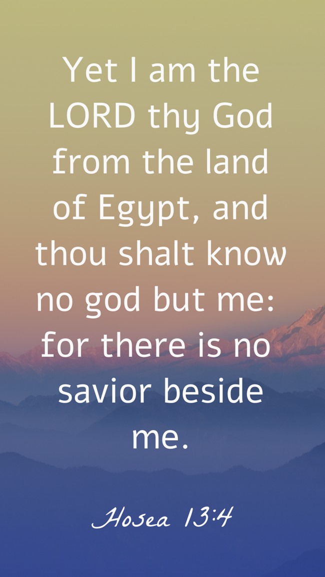 Yet I am the LORD thy God from the land of Egypt, and thou shalt know no god but me: for there is no savior beside me. - Hosea 13:4