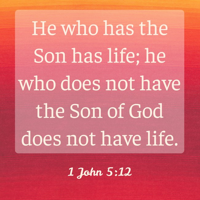 He who has the Son has life; he who does not have the Son of God does not have life. - 1 John 5:12