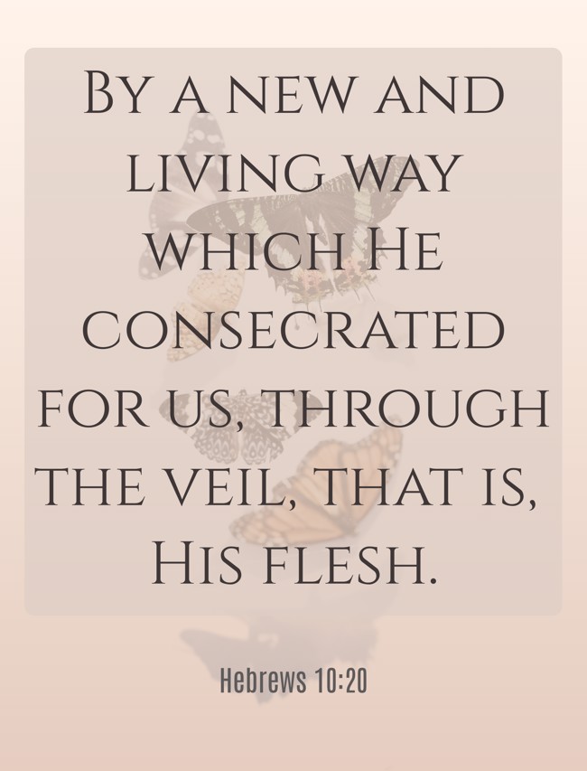 By a new and living way which He consecrated for us, through the veil, that is, His flesh. - Hebrews 10:20