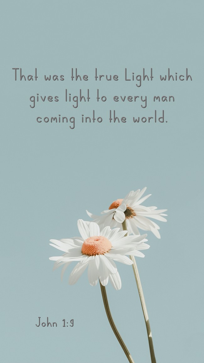 That was the true Light which gives light to every man coming into the world. - John 1:9