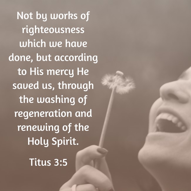 Not by works of righteousness which we have done, but according to His mercy He saved us, through the washing of regeneration and renewing of the Holy Spirit. - Titus 3:5