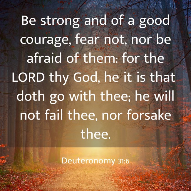 Be strong and of a good courage, fear not, nor be afraid of them: for the LORD thy God, he it is that doth go with thee; he will not fail thee, nor forsake thee. - Deuteronomy 31:6