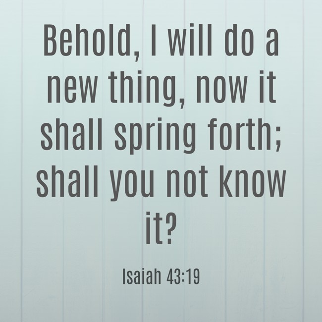 Behold, I will do a new thing, now it shall spring forth; shall you not know it? - Isaiah 43:19