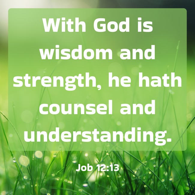 With God is wisdom and strength, he hath counsel and understanding. - Job 12:13
