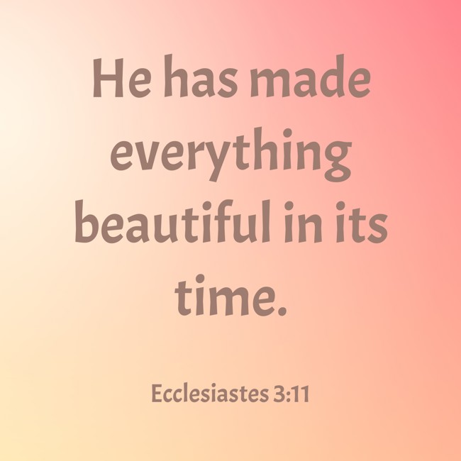 He has made everything beautiful in its time. - Ecclesiastes 3:11