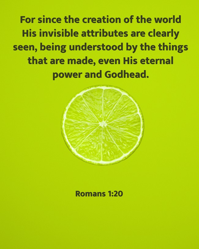 For since the creation of the world His invisible attributes are clearly seen, being understood by the things that are made, even His eternal power and Godhead. - Romans 1:20