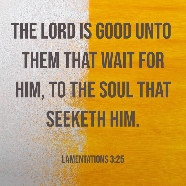 The LORD is good unto them that wait for him, to the soul that seeketh him. - Lamentations 3:25